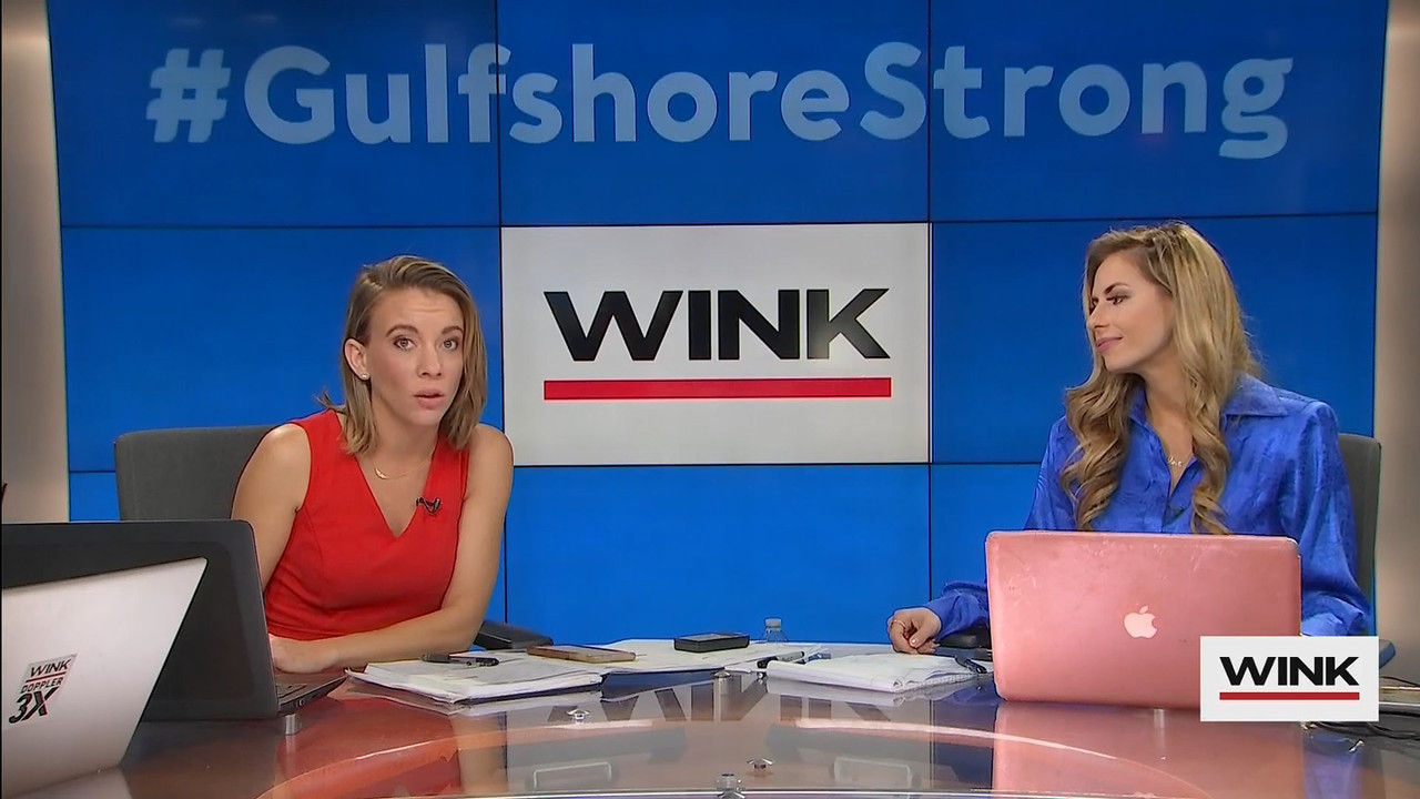 10.09 - 13.00.00 - WINK News at 8 00AM  ᴺᵉʷ..ts_snapshot_00.07.24.236