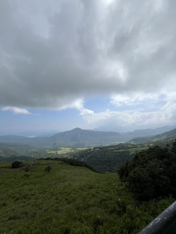 IMG-7237.jpg