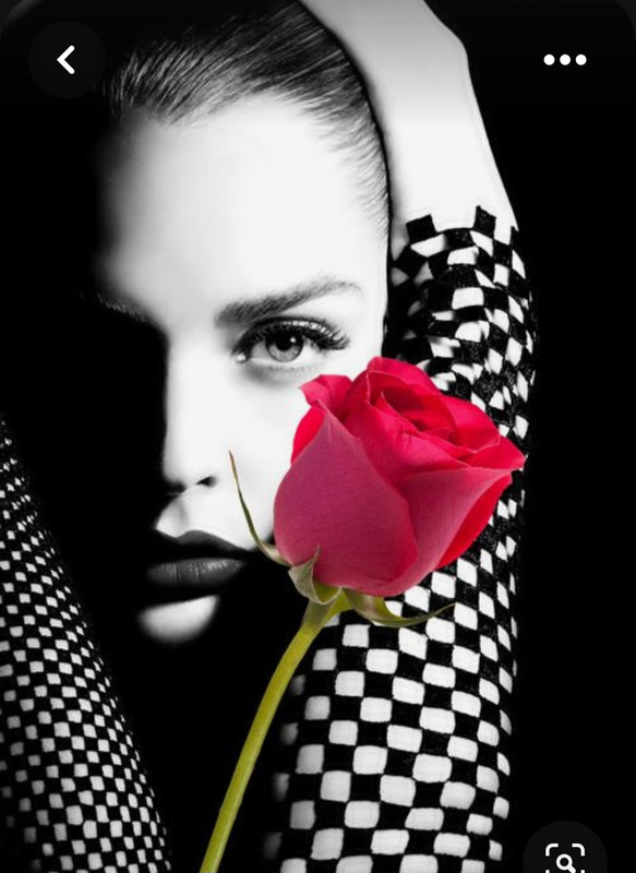 Screenshot_20230624_214621_Pinterest