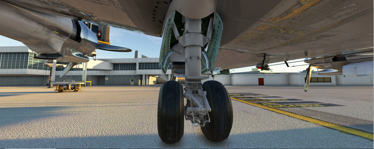 Connie-2.jpg