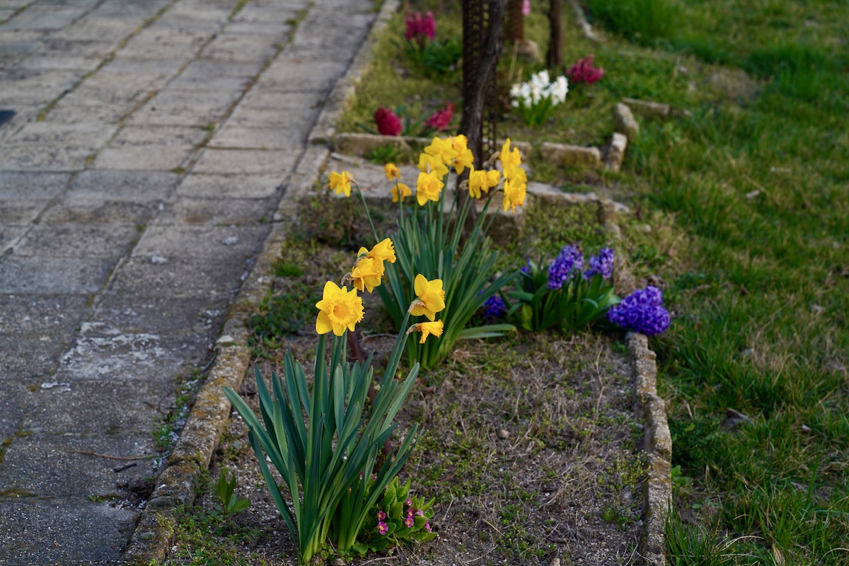 https://i.postimg.cc/HxrtX4WB/DSC01780.jpg