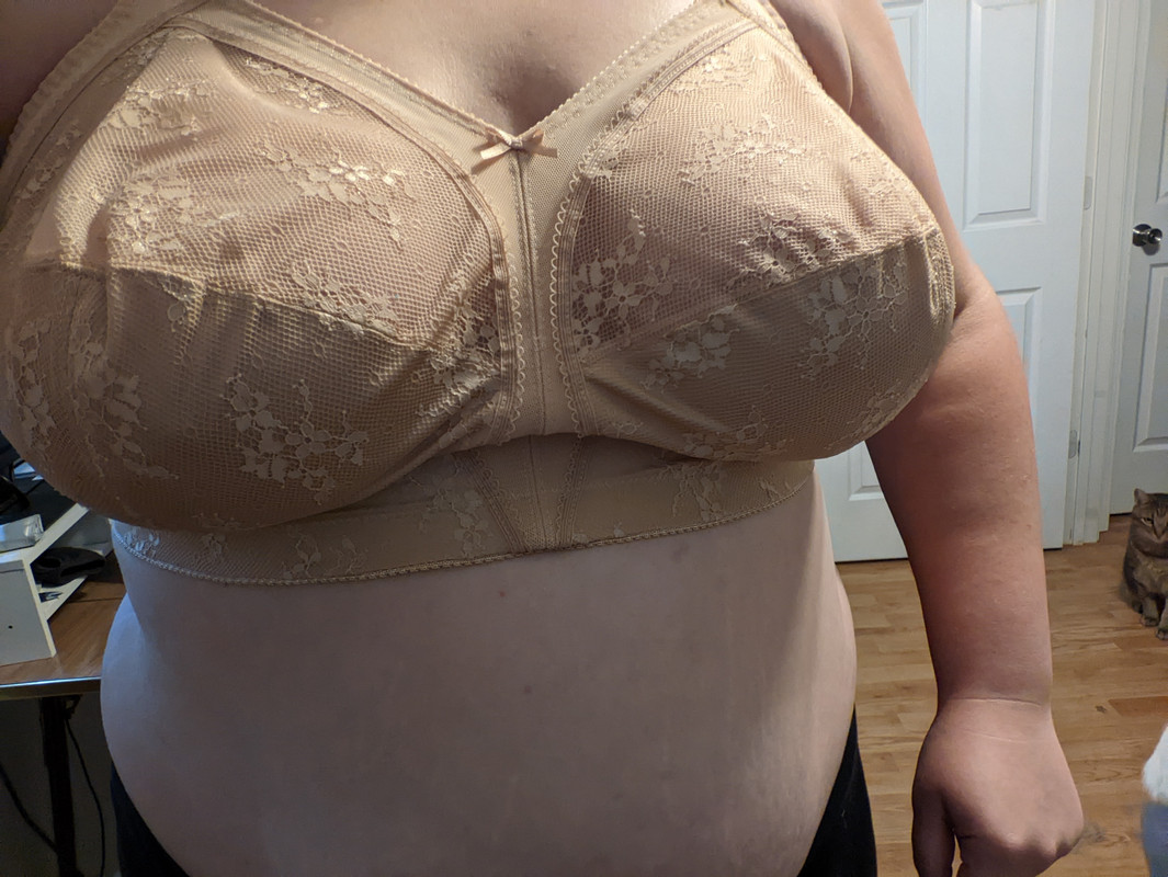 fit check] - 44I - still too big in the cup and now too small in the band?  : r/ABraThatFits