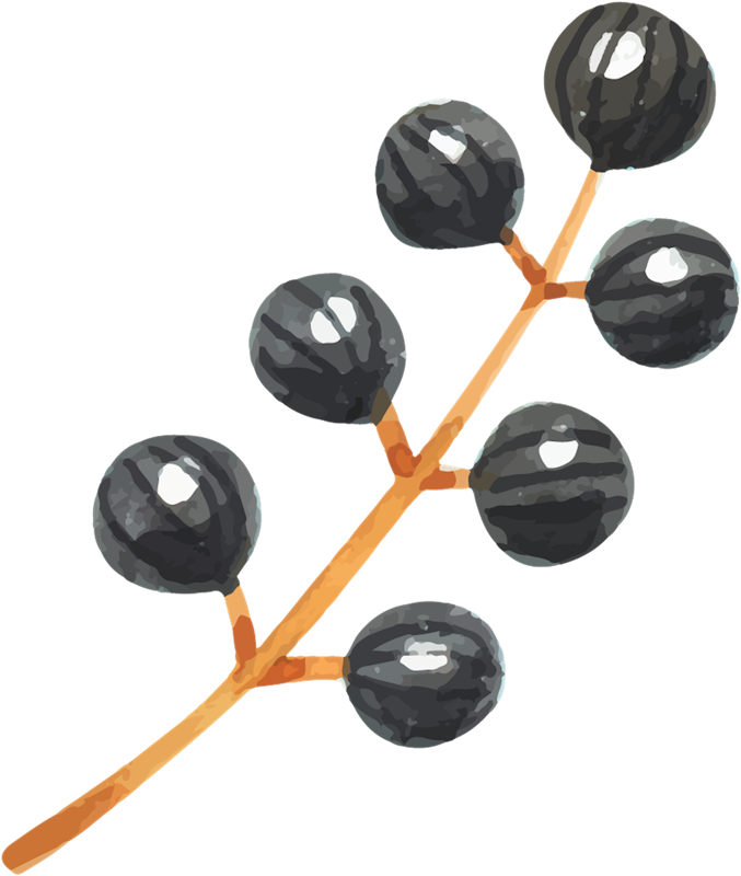 IPD_WP_Element (149)