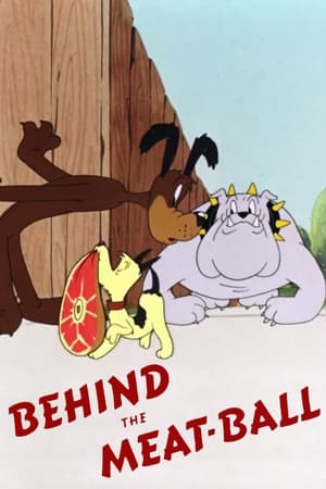 Looney Tunes Behind the Meat Ball 1945 720p BluRay x264-PFa