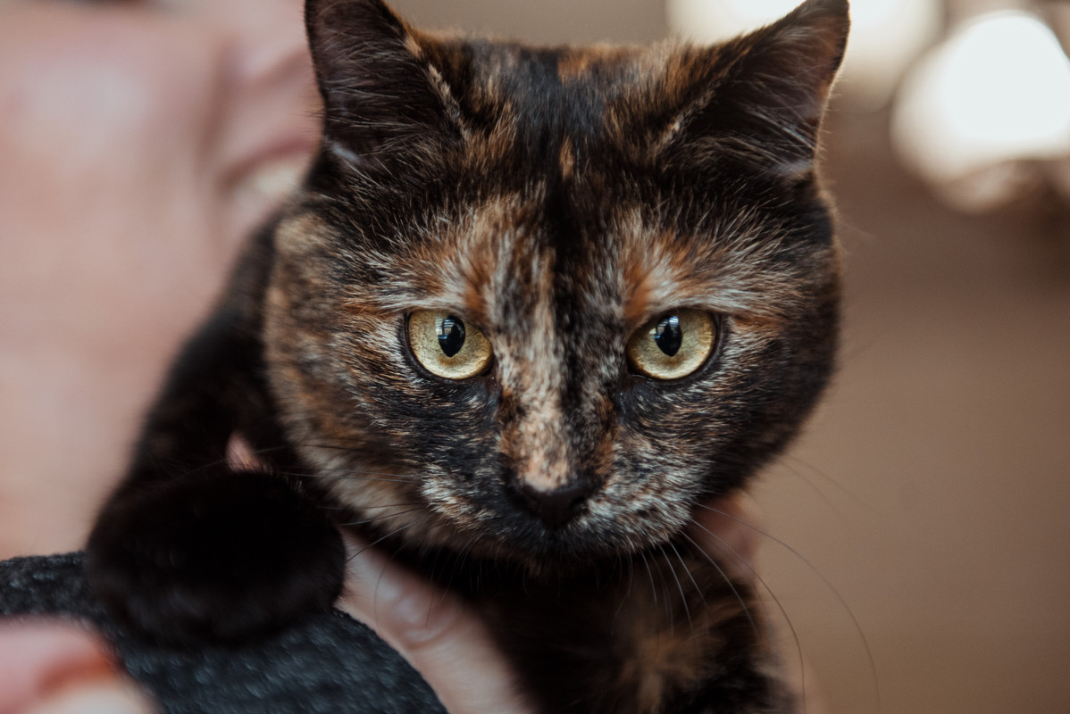 image-01-12-21-10-03-1