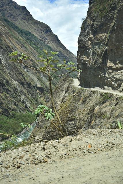 Día 14. Machu Picchu por libre - 3 SEMANAS EN PERÚ del Amazonas a Machu Picchu 2019 (6)