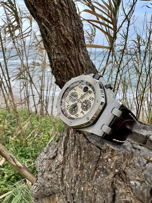 DD753225-9218-4151-B61E-44B49B21D04B