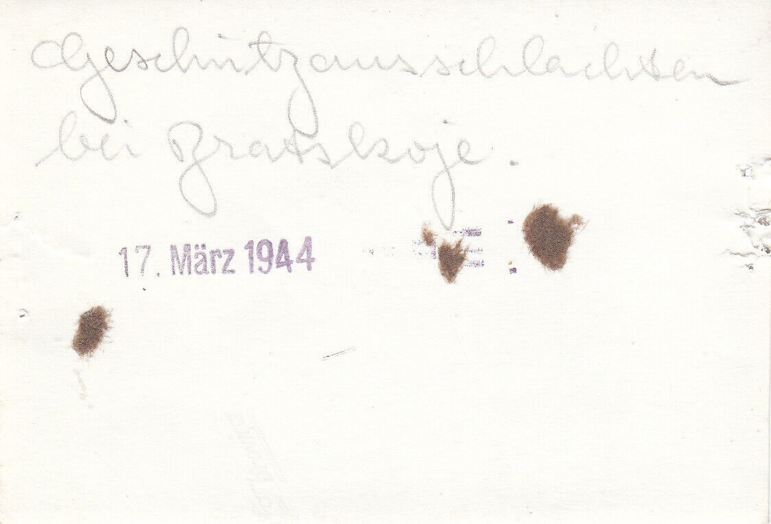 Foto Soldat Panzer Tank Sturmgeschütz Stug Seitenschürze Langrohr Bratskoje #130 (1)