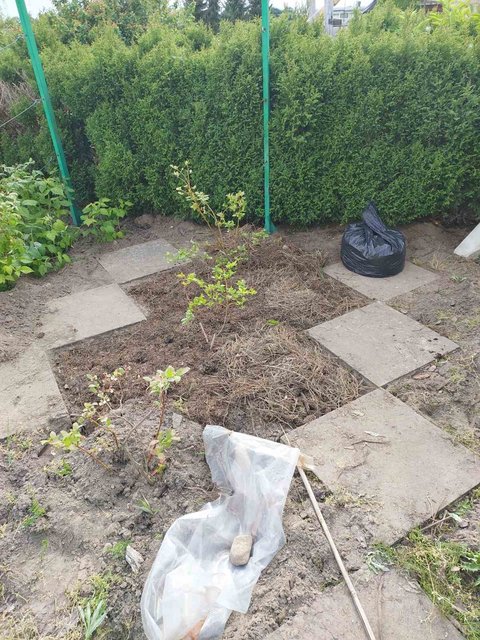 изображение_viber_2022-05-29_18-29-25-647