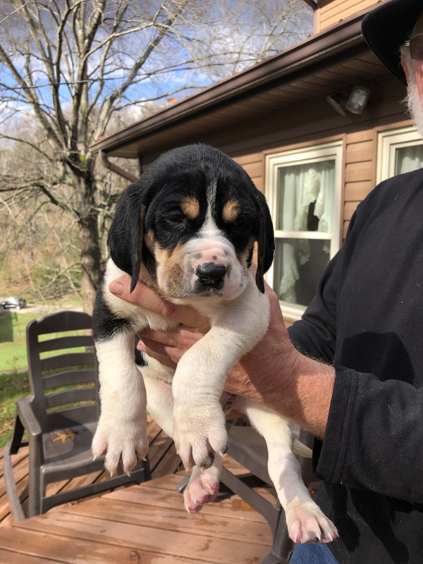 27C9D017-968A-4C6A-BFCF-D7501B33242D