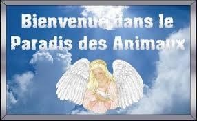 [Image: ED6-D7-A30-E2-A3-4-C13-97-F4-0-DE8-FA6-EE952.jpg]