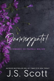 J. S. Scott - I Fratelli Walker Vol. 3. Danneggiato! (2024)