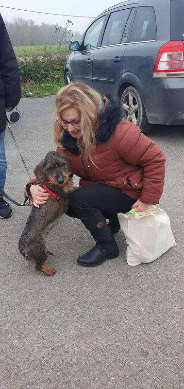 [Image: IMG-20221210-WA0004.jpg]