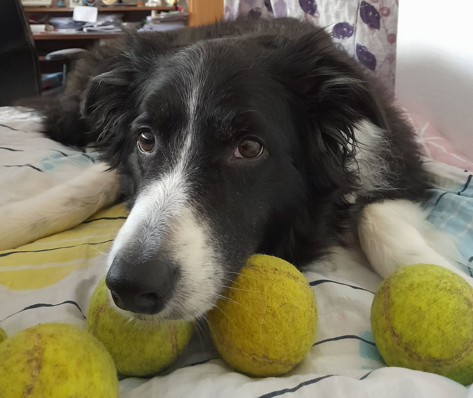 564546755-3083396011835149-5322241705209439828-n