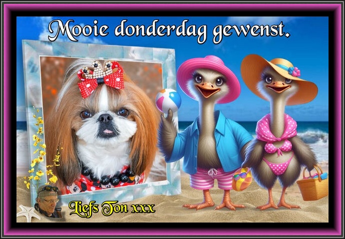 www.krabbelplaatjes.com