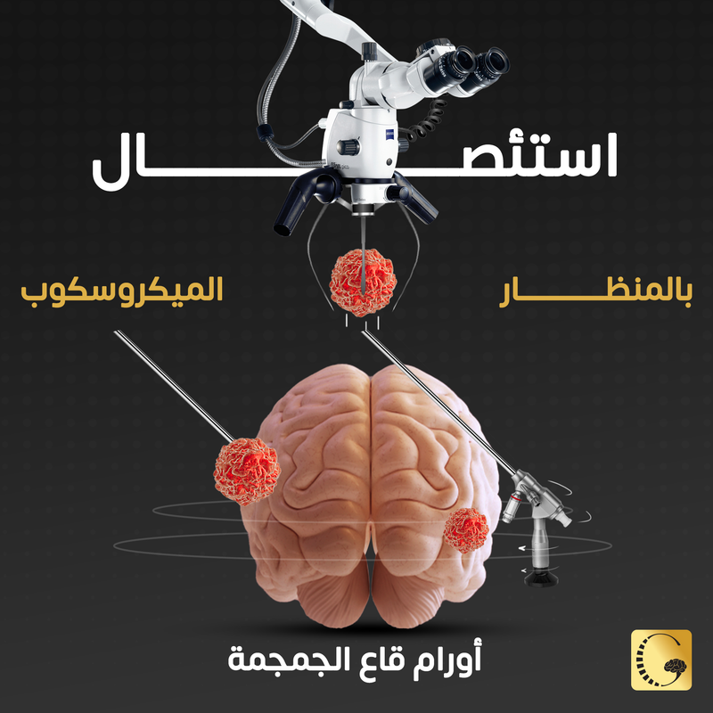 Social Design 14