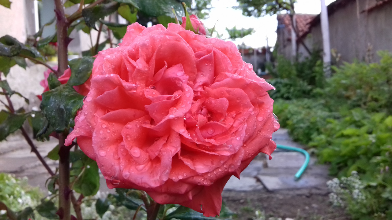 20190524_071601