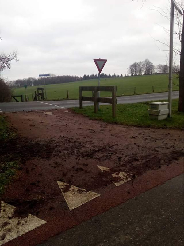 FB_IMG_1517156252291