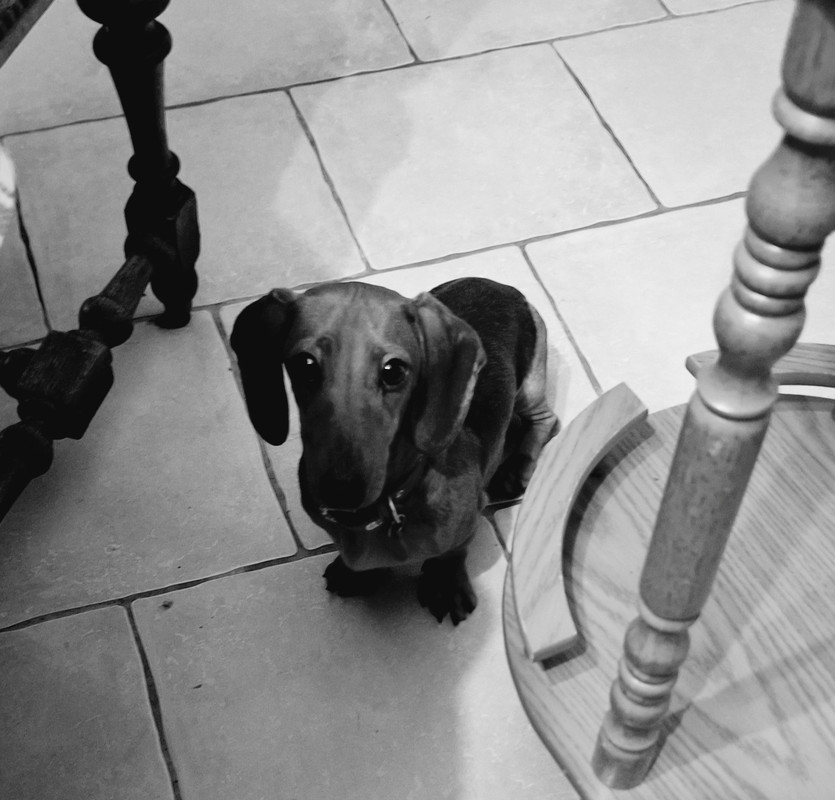 [Image: 20250512-203025.jpg]