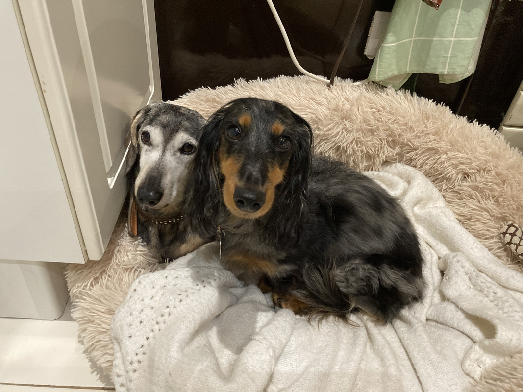 [Image: IMG-3945.jpg]