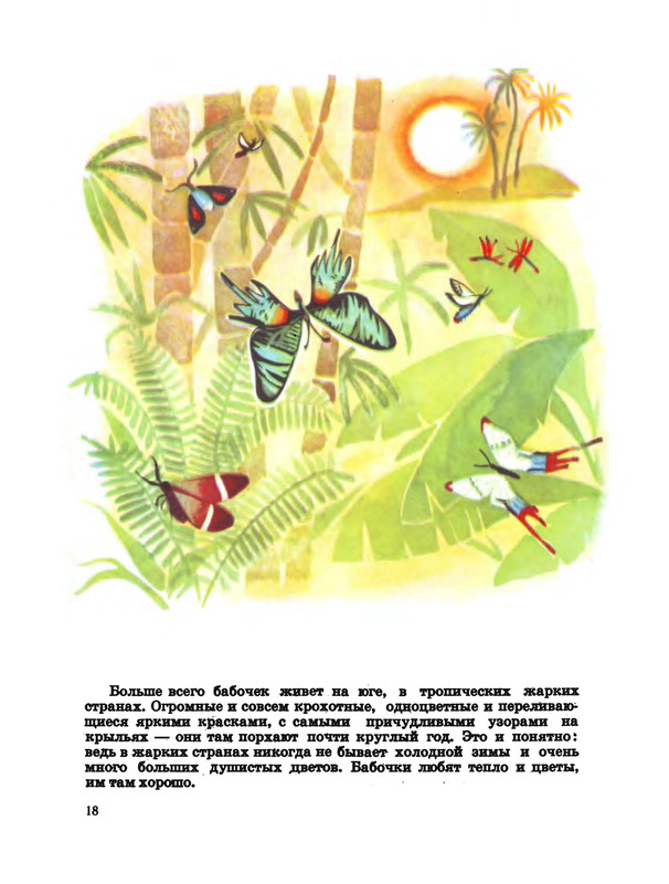p0020