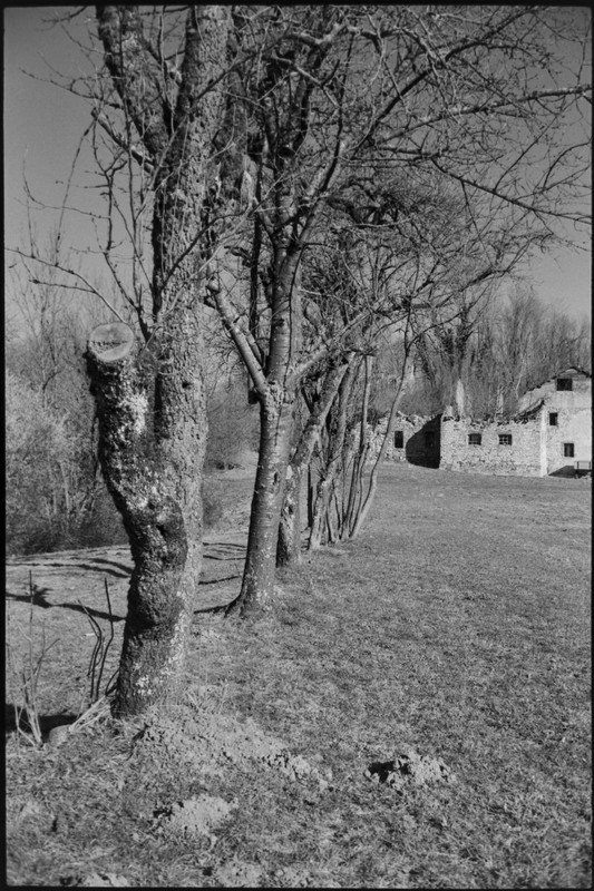 Rollei 35 S_14 16 feb2022_05 (853x1280)