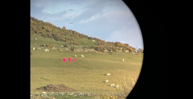 DDE8D3C3-4BF4-40FD-A383-D28E89110AE0