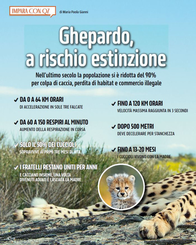 QuattroZampe Feb 2025 (1)