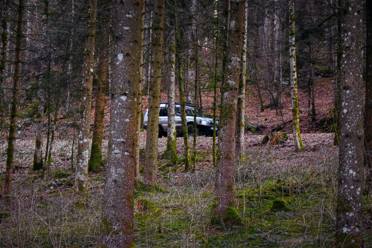 31 - Ils nous ont retrouvés