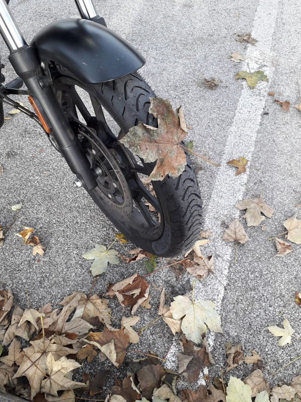 WhatsApp Image 2022-11-12 at 09.57.40