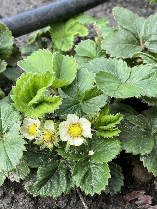 30B282CC-B287-465C-9196-A68D6BCC55F8