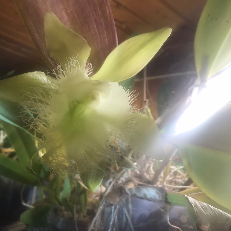 0389DBE6-727D-4A36-B838-1687FE9A2430