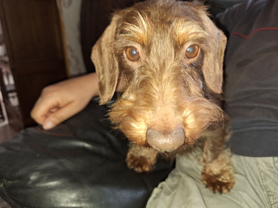 [Image: 20240530-101258.jpg]