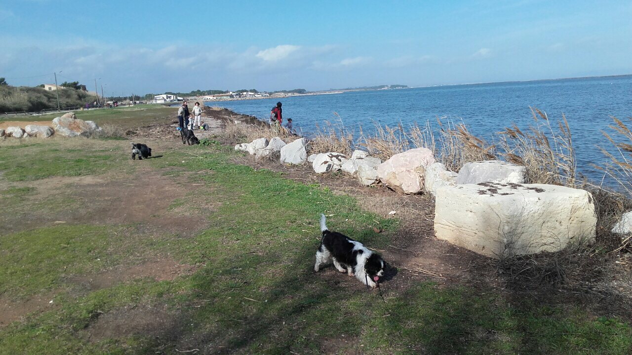 37B9A6DA-CF57-471F-9B78-560F68227520