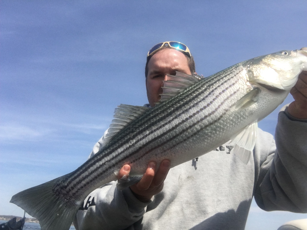 A827304F-C840-4408-9929-EF5A7CACBFD2