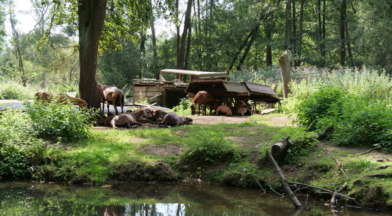 [Bild: 140824-112034b.jpg]