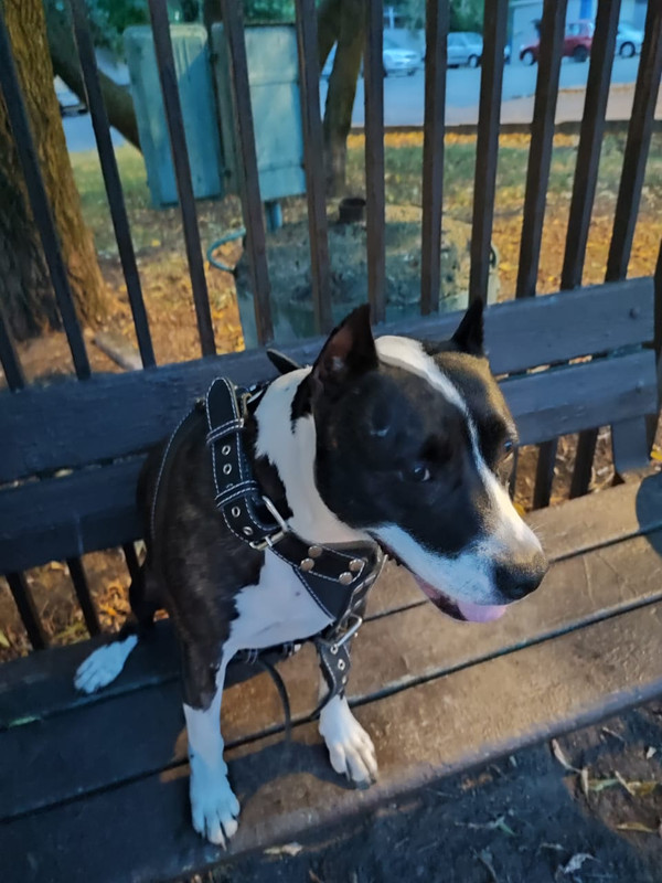 011D5AE9-6CBF-4B48-8534-BC10E54C1971