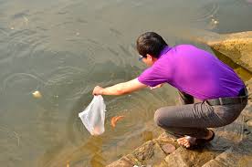 [Image: images-24.jpg]