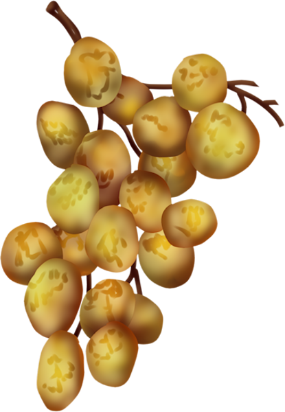 143790116_LMB_Fall_Bounty_Element_99