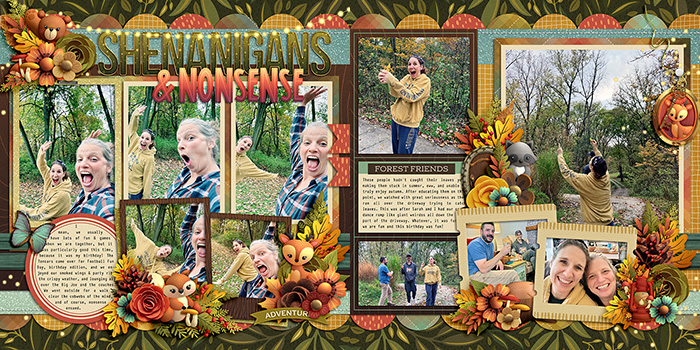 allyanne-AWoodland-Adventure-FULL.jpg