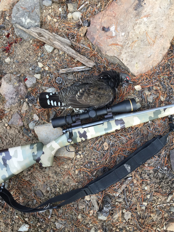 DB3675BD-C3D0-4A51-A42D-FF060987AA05