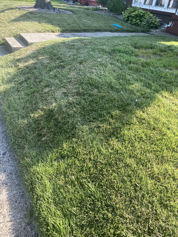 A006FFA2-CD70-461F-AC51-41FBCFD4692E