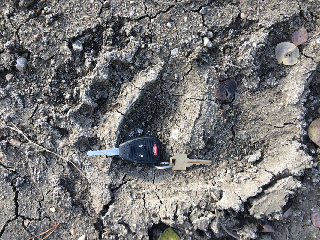 0065012A-797F-4D73-87D3-9F1DB4A340F9