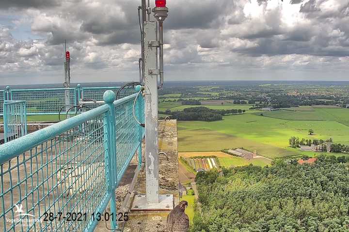 campics vanaf 1 juli © VWGGemert en bonusjes van ter plekke - Pagina 12 3
