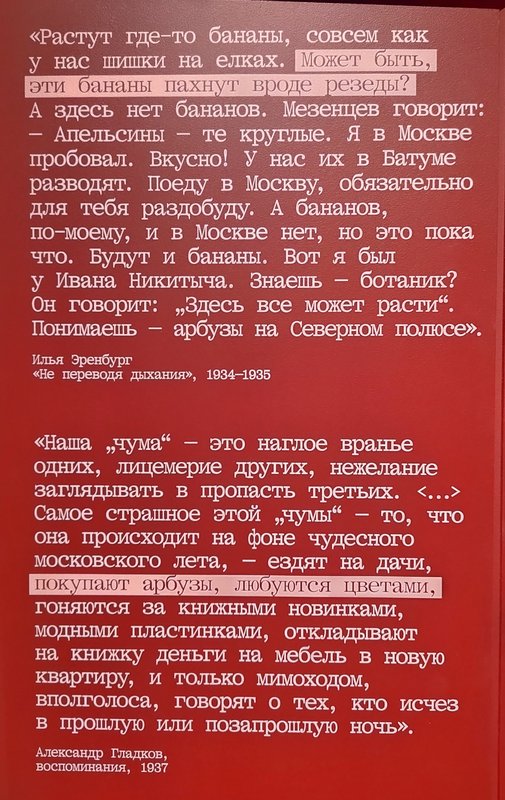https://i.postimg.cc/HxygQbb6/266-IMG-20250814-120021.jpg