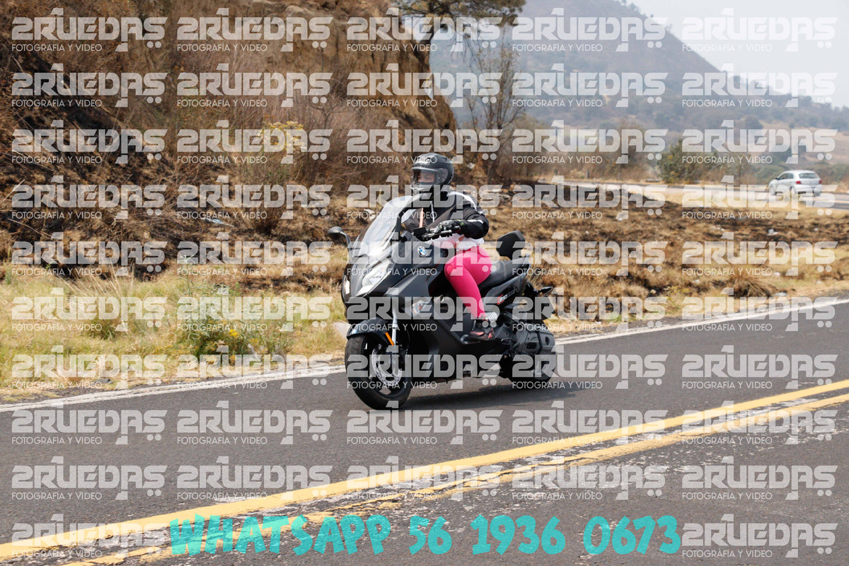 MG 1778 — Postimages