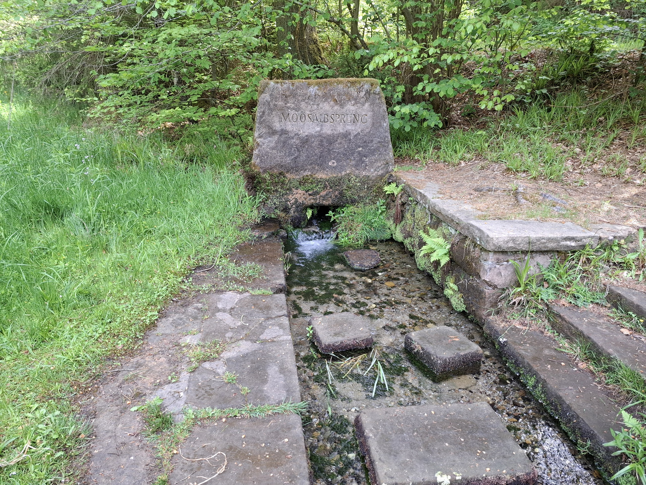 20260510-111020.jpg