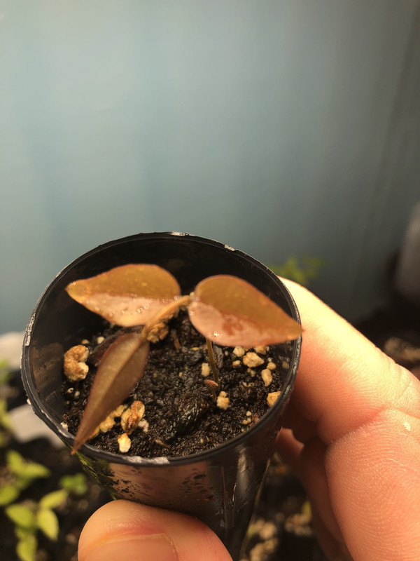 9A4958BE-DBBE-450A-9A5C-8DC02DE92F91