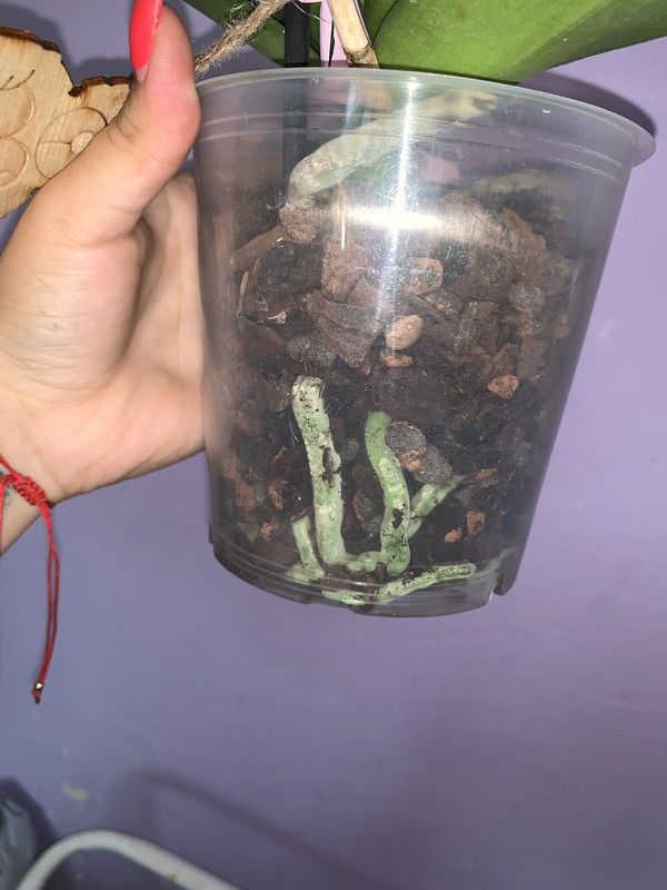 2808C37F-D0A8-4160-B0A7-DF44F62F7753