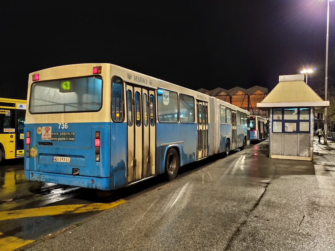 Neobus #736(1)